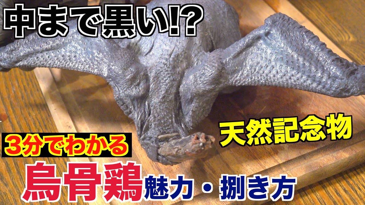 【黒い肉】烏骨鶏(うこっけい)の魅力と捌き方