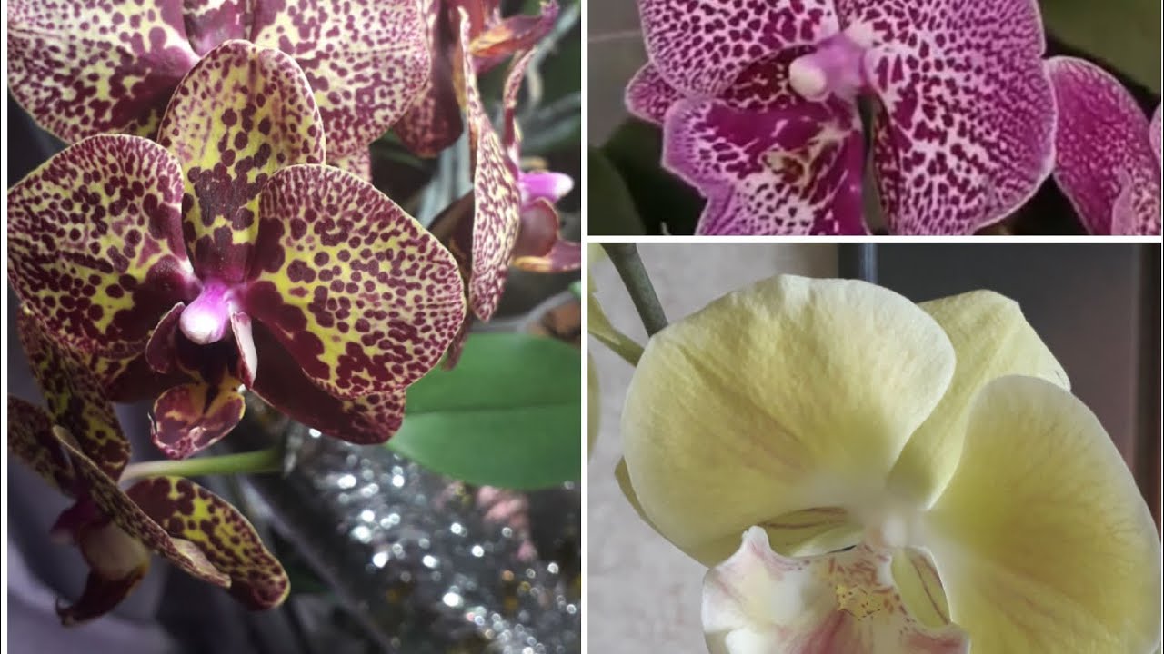 ОТВЕТЫ НА ВОПРС : 