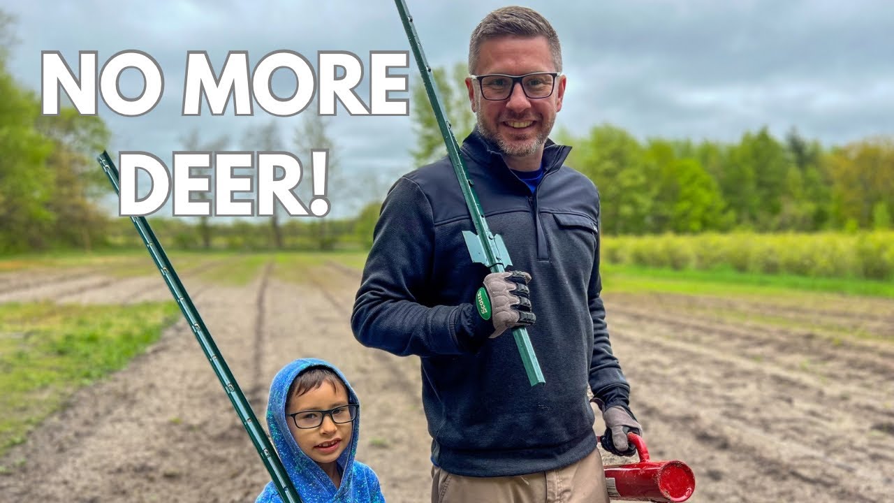 How to Deer Proof a 1/2 Acre for $150. How we are keeping deer out of our flower field.