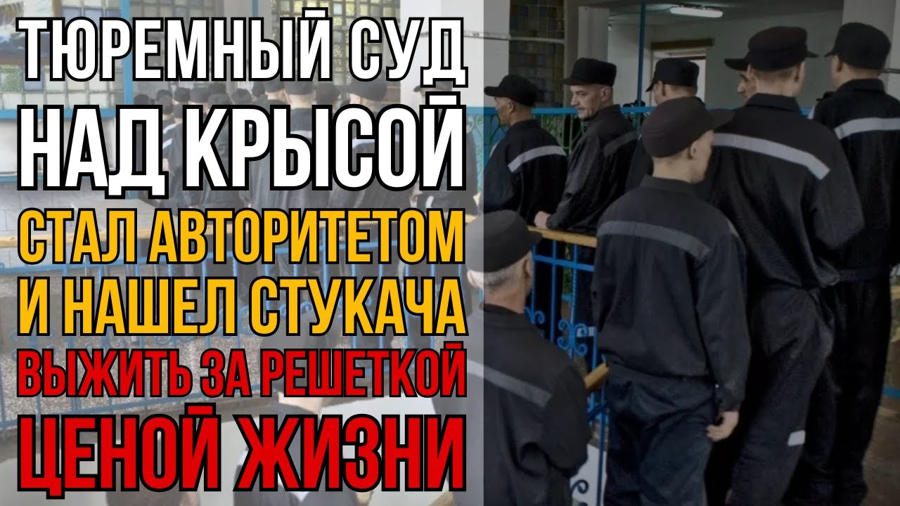 В Колонии Крыса В Каждой Камере. Налётчик Сломал Систему Стукачей И Стал Авторитетом I Колония Жизни