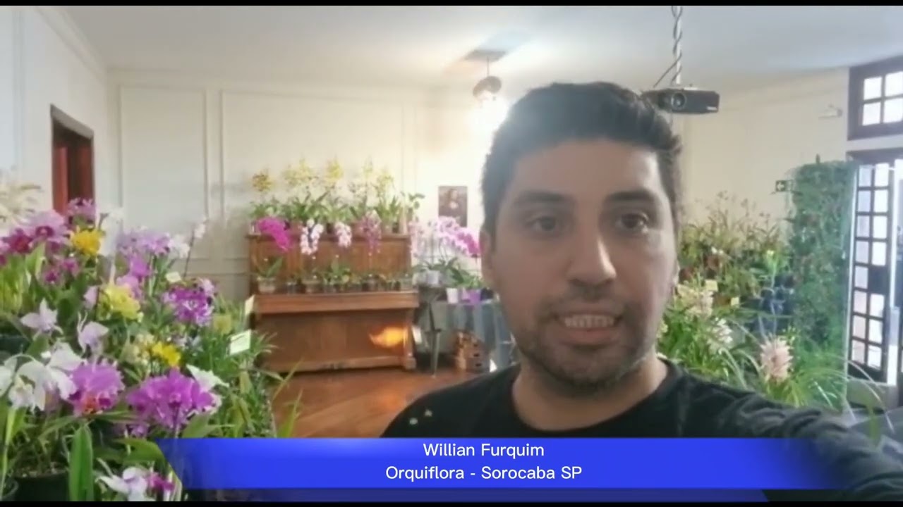 Propaganda Feira de Orqu&iacute;deas - Sorocaba - Orquiflora