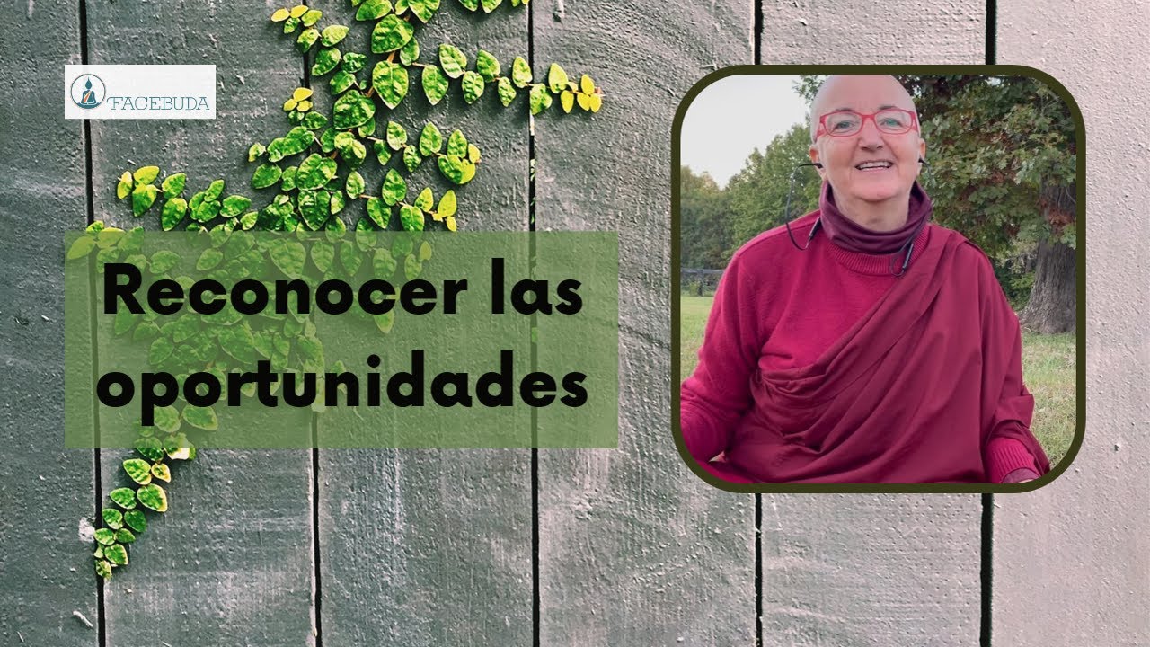 Reconocer las oportunidades