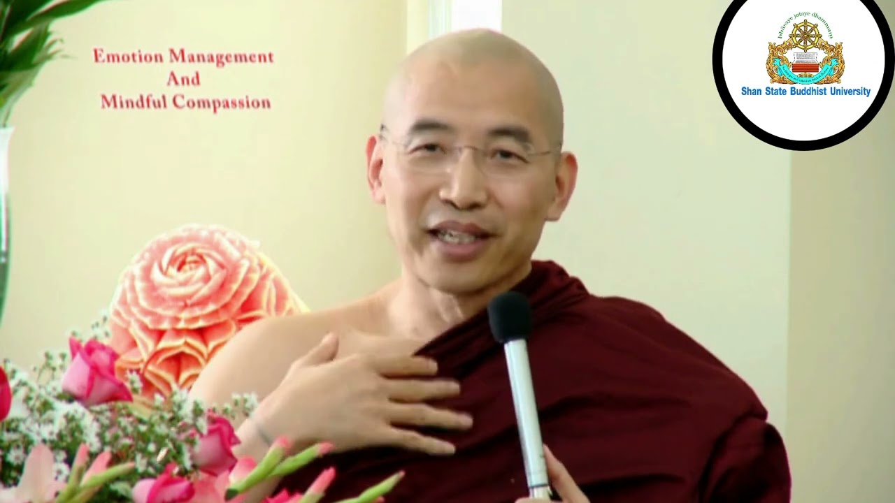 9-Mindfulness and Negative Emotion Management