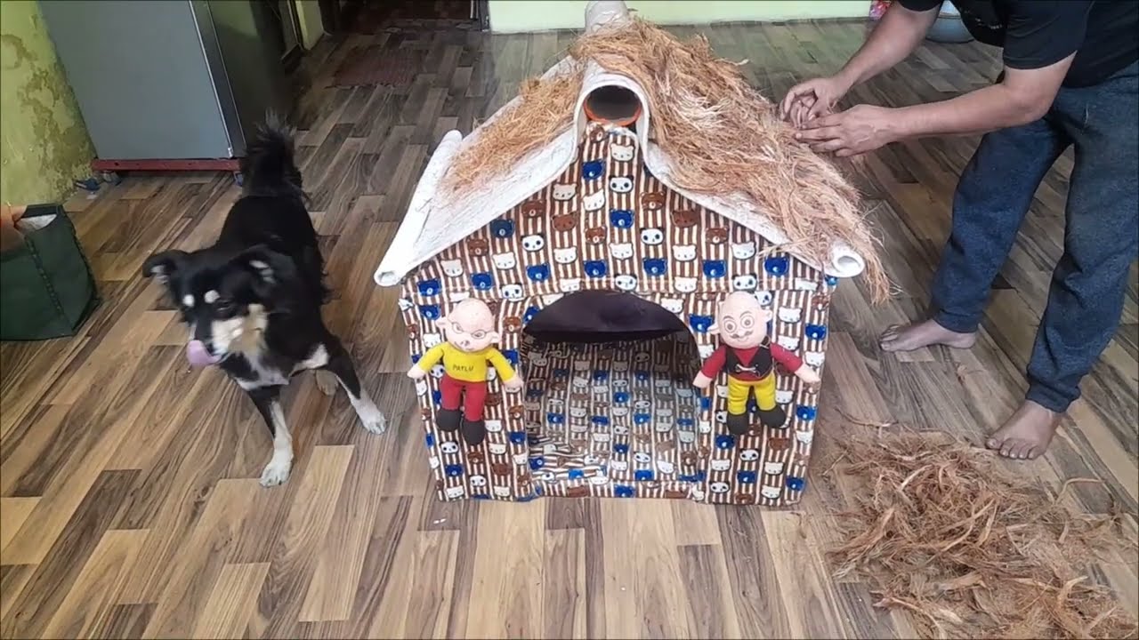 Easy To Make Light Weight (  DOG HOUSE  ) Viral video #doghouse  #dogvideos #doghelp #streetdog