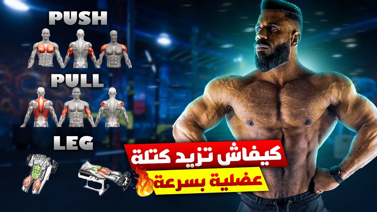 أقوى برنامج Push Pull Legs لفرقعة عضلاتك بسرعة البرق 🤯