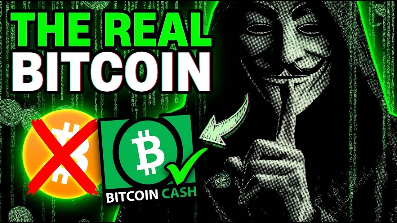 Música Lofi para Minar Bitcoin Cash | La Verdadera Bitcoin es Dinero P2P
