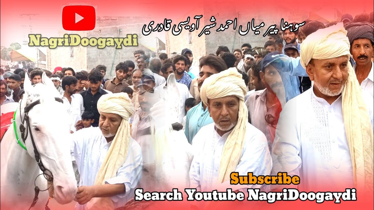 Kalam Mian Muhammad Ameer Noon | Mian Ahmed Sher Awasi Qadri | Nagri Noon Di | NagriDoogaydi