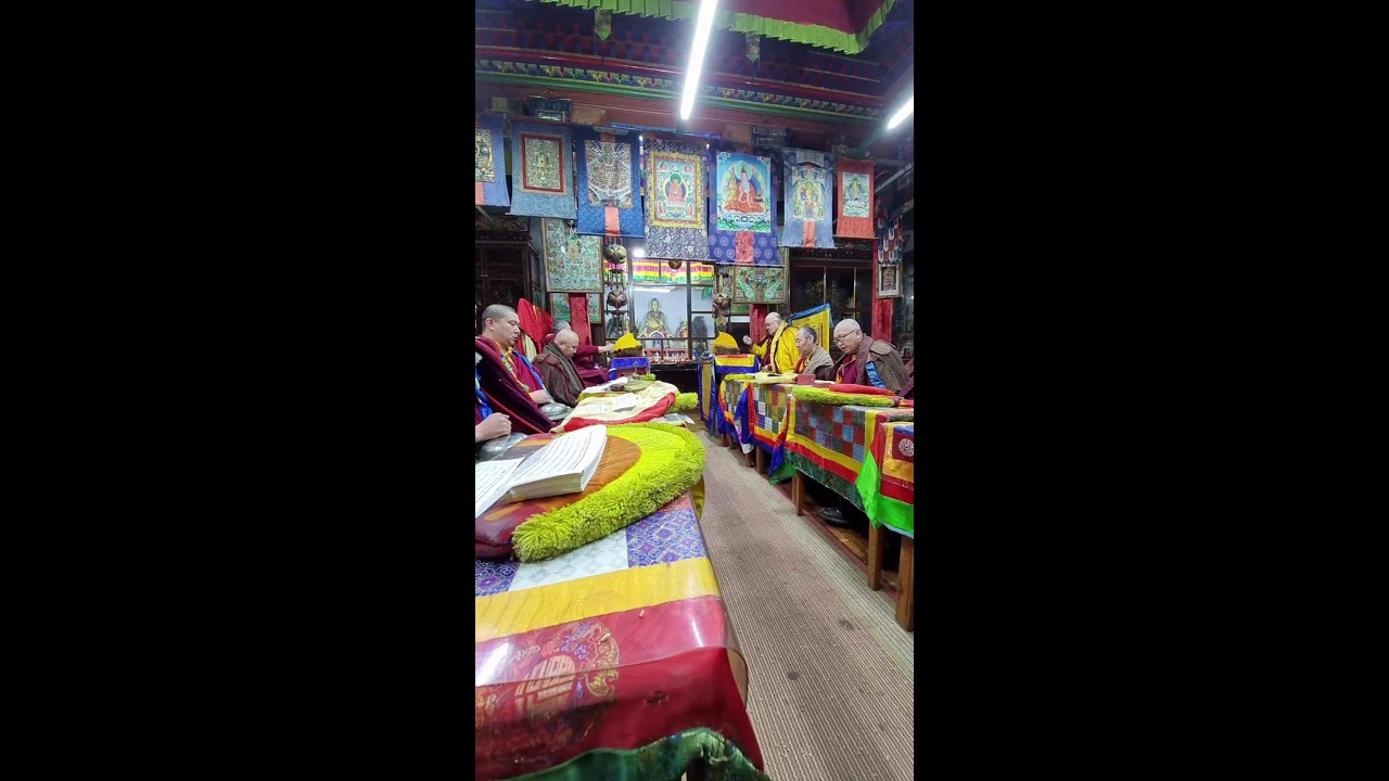 АРБАН ХАНГАЛ. Сэржэм, Далга.29.12.2024 🕒15:00