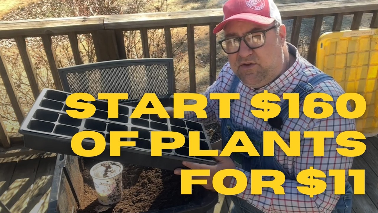 Start $160 of plants for $11