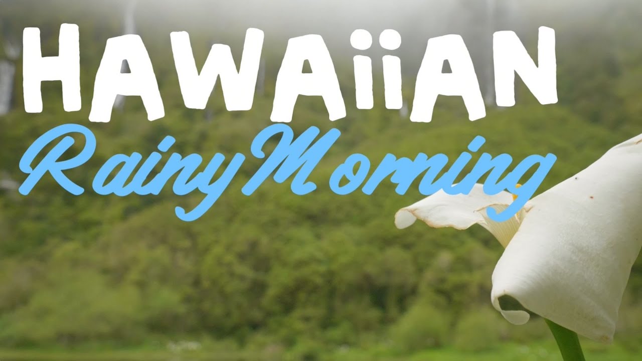 Rainy Hawaiian Morning: Cozy Slack Key Guitar & Gentle Rain (Focus & Work)