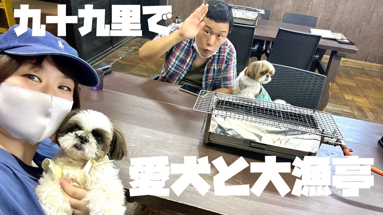 【犬連れごはん】感動の美味しさ！千葉の犬と入れる海鮮料理店！
