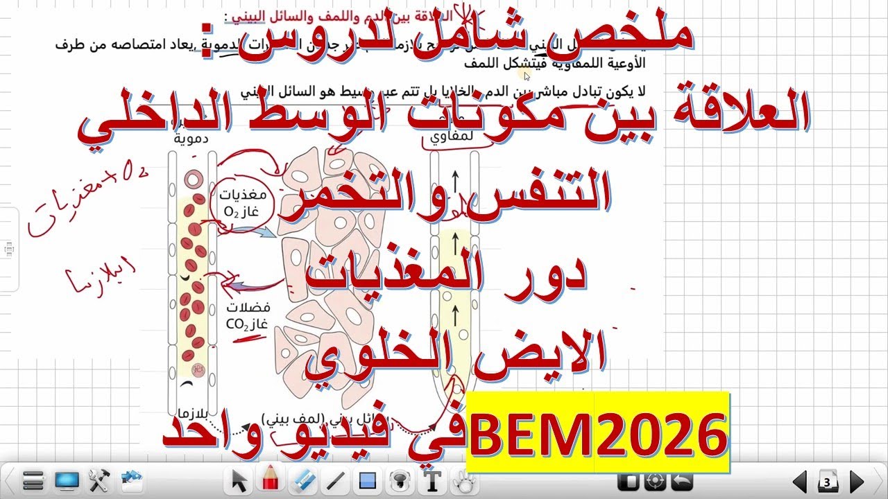 أقوى ملخص لدروس العلوم السنة 4 متوسط:العلاقة بين مكونات الوسط الداخلي.التنفس .التخمر. الأيض الخلوي