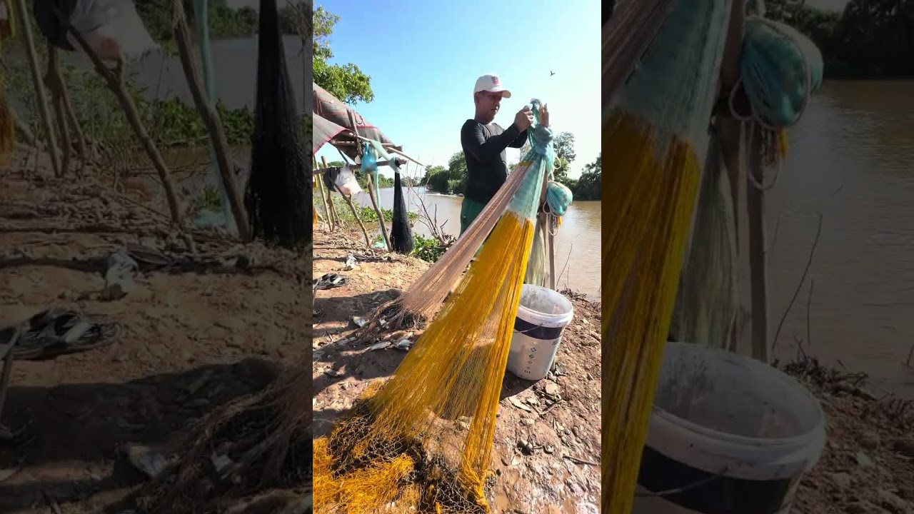 ក្បាលកន្លង់​ ពាមឆ្កោក​ កំពង់ឆ្នាំង​ មិនអន់ទេ​ 