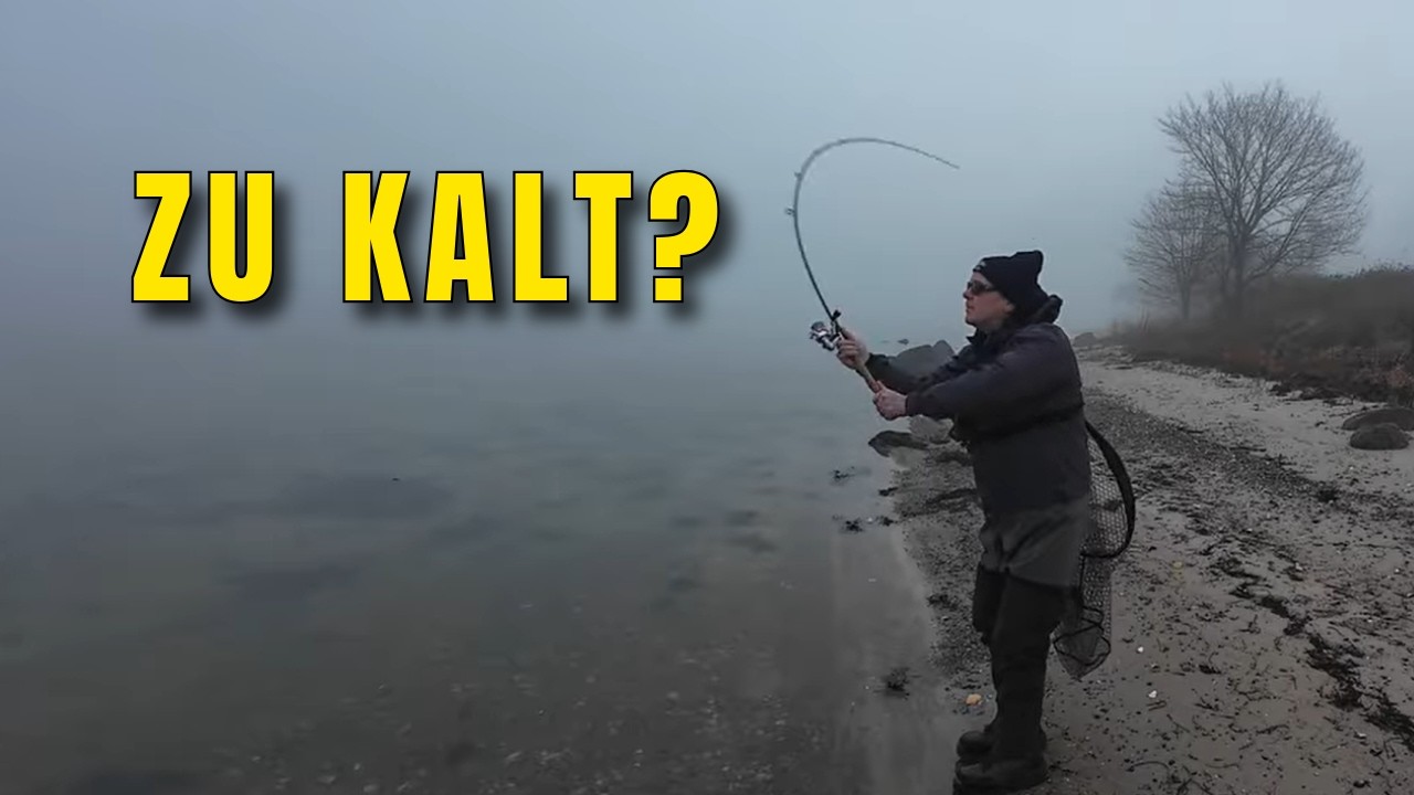 Meerforelle bei 1 Grad &ndash; lohnt sich das nach Wochen Dauerfrost? 🇩🇰