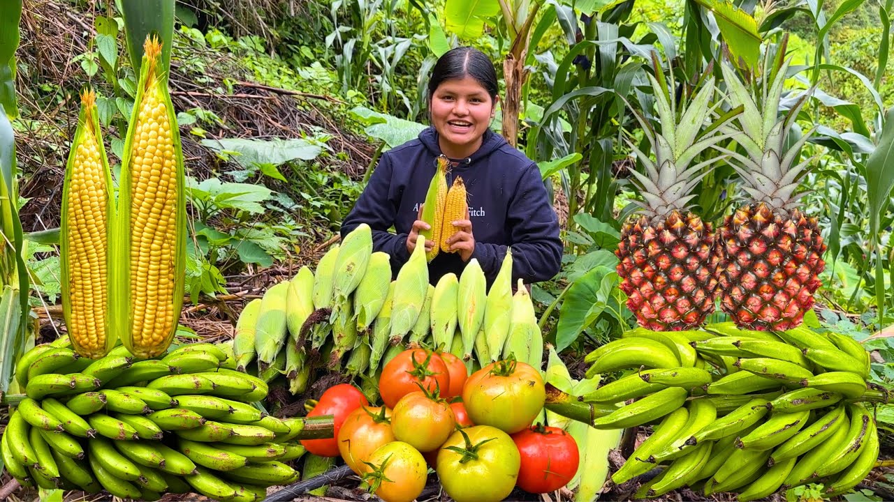 Miren todos los alimentos que cosechamos en nuestra finca - NATHALIA