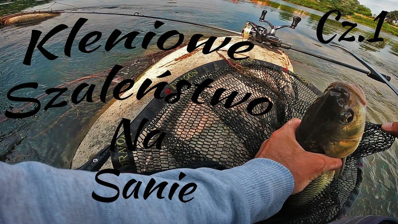 Kleniowe Szaleństwo na Sanie cz 1|Kleń na Smużaka | Chub Fishing