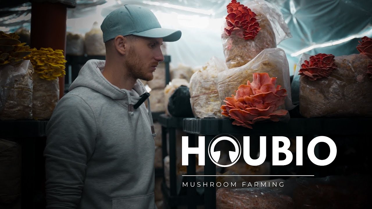 Jak vypěstovat z druhotných surovin 750kg čerstvých hub měsíčně? | Městská farma HOUBIO