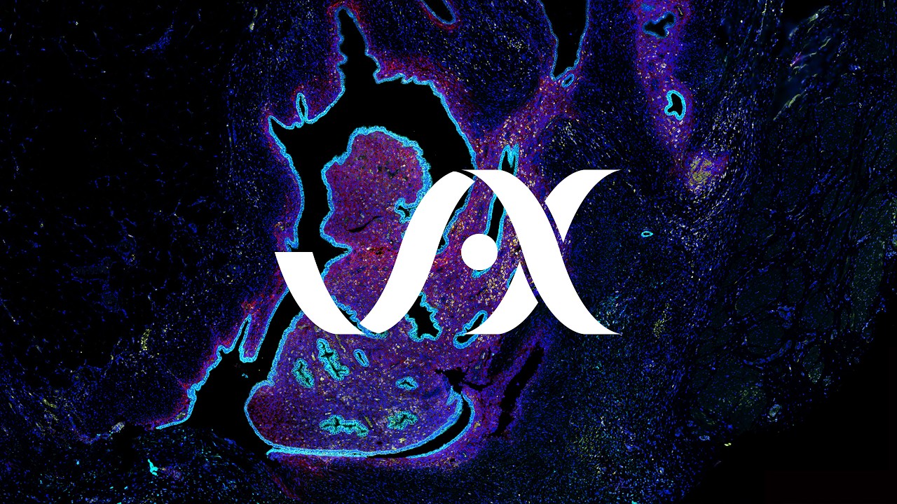 JAX In Motion | 1 in 10: The Endometriosis Challenge