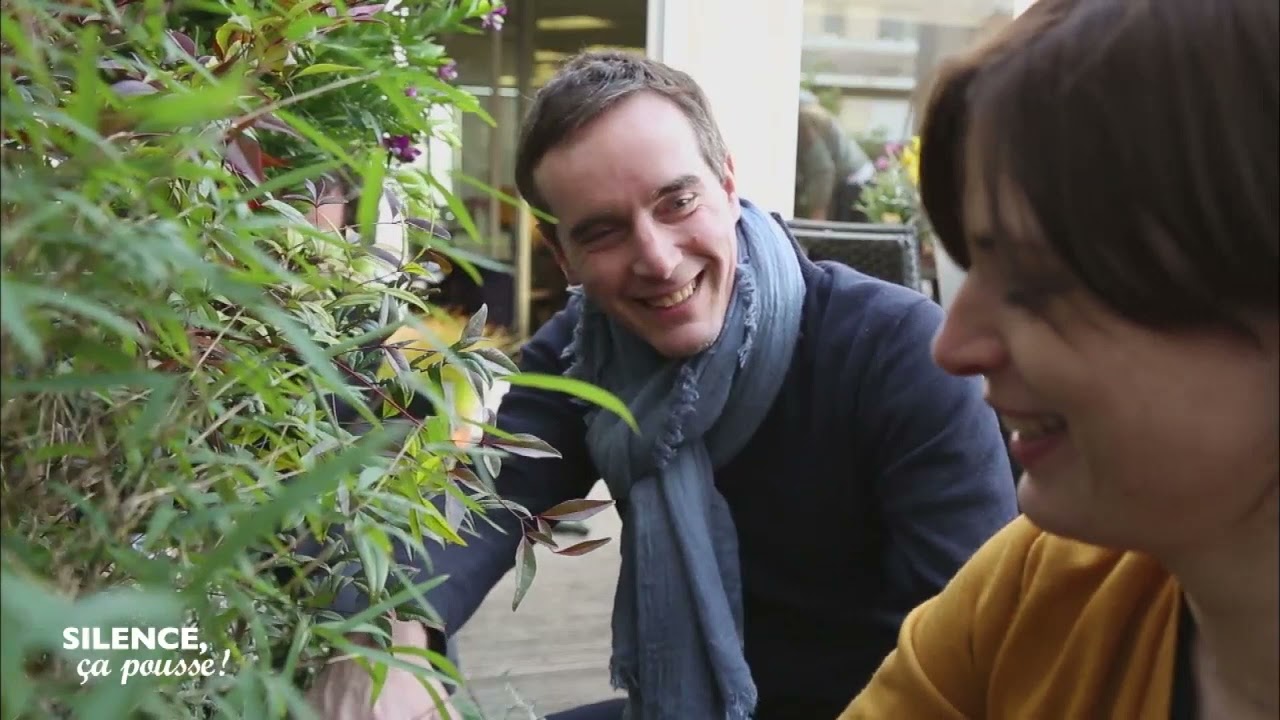 Pas de panique / 2 ans après : les bureaux de Silence, ça pousse ! 30 mars 2018