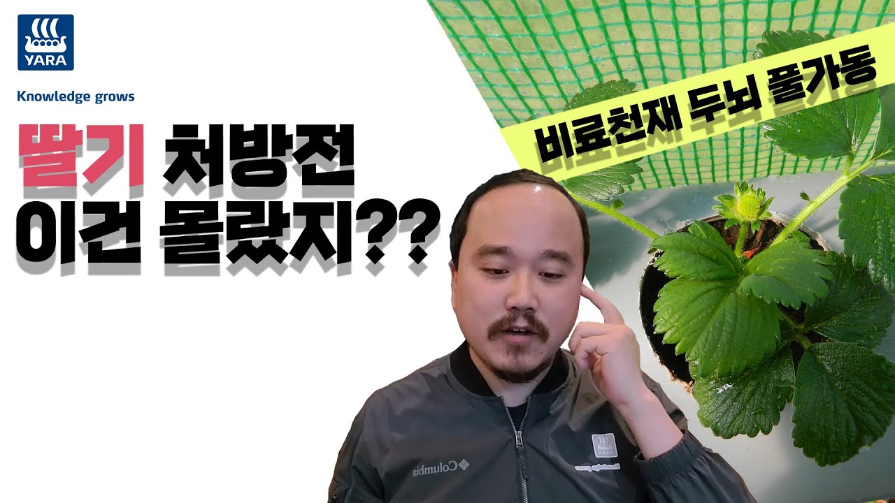 딸기처방전과 칼슘결핍 증상에 대해! 처음부터 끝까지 알려드립니다! | 농사 100단