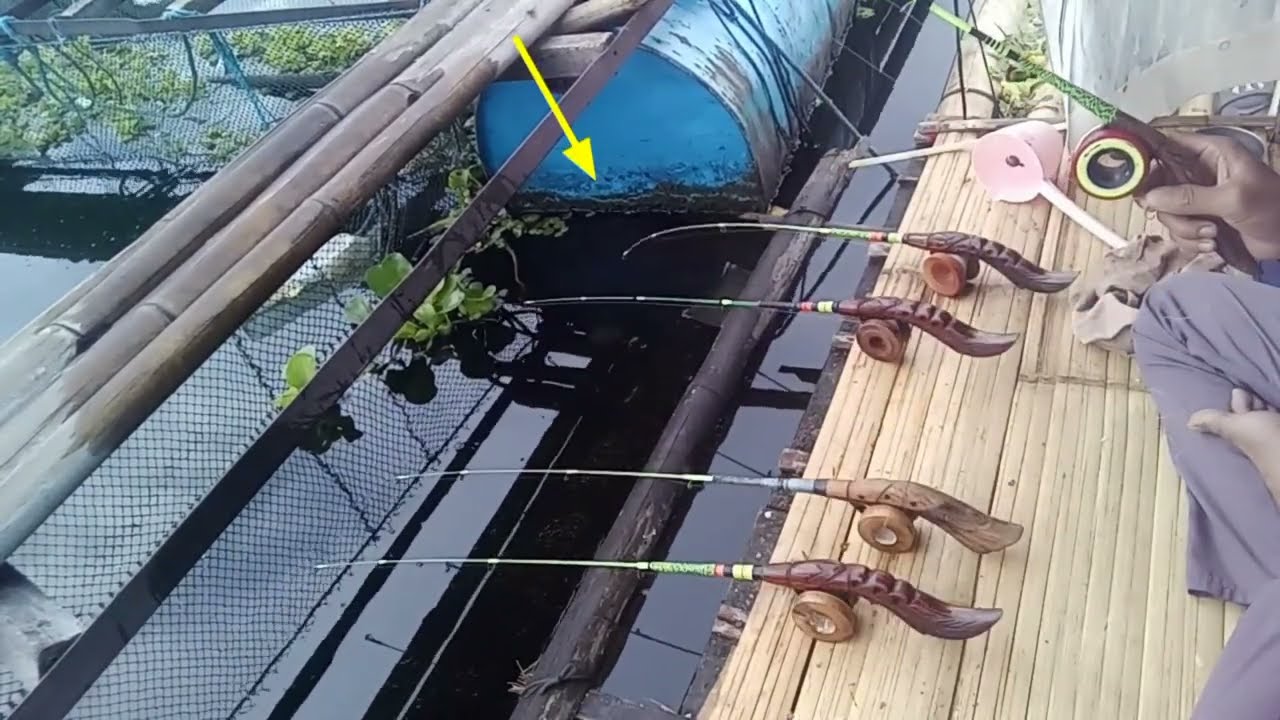 Alhamdulillah selalu ada rezekinya Terbaru mancing kja Cirata 2026 awal tahun#fishing 