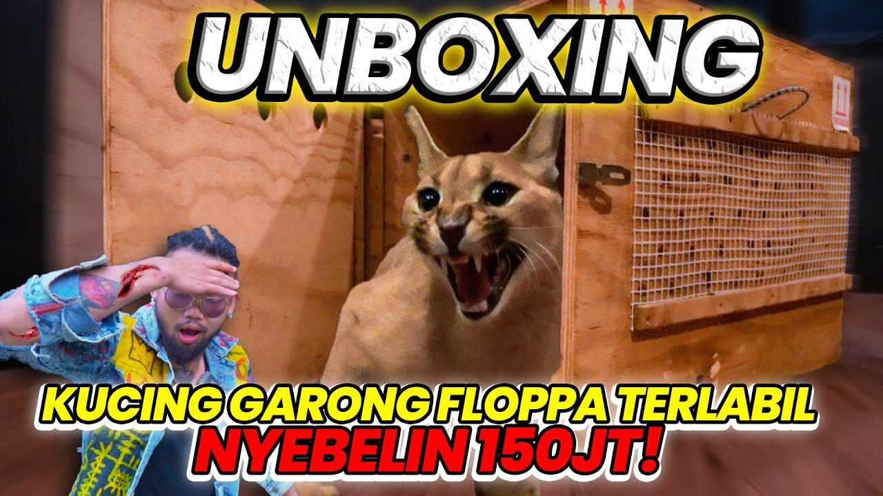 TERSADIS! UNBOXING KUCING GARONG FLOPPA TERLABIL NYEBELIN 150JT! #AudreyA #KINGOFTHEJUNGLE
