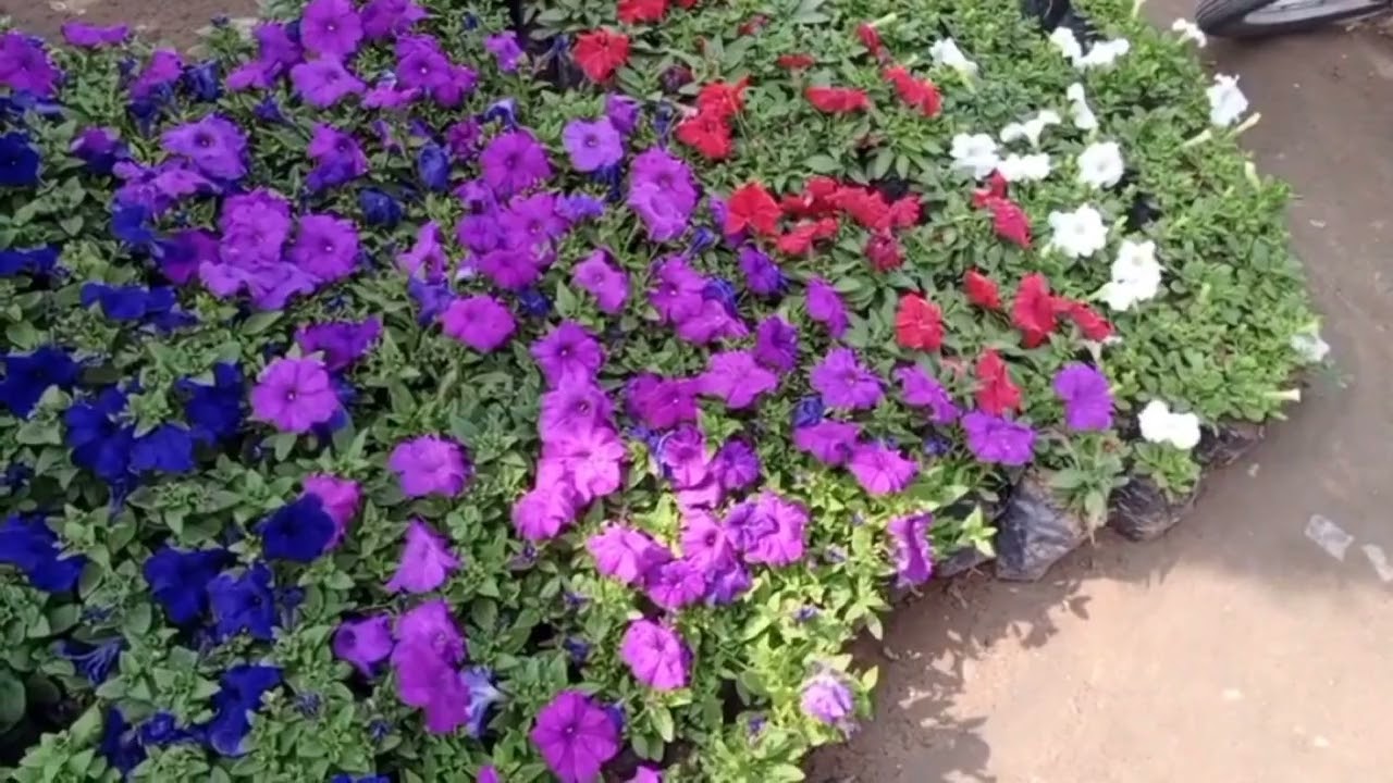 Relaxing music 