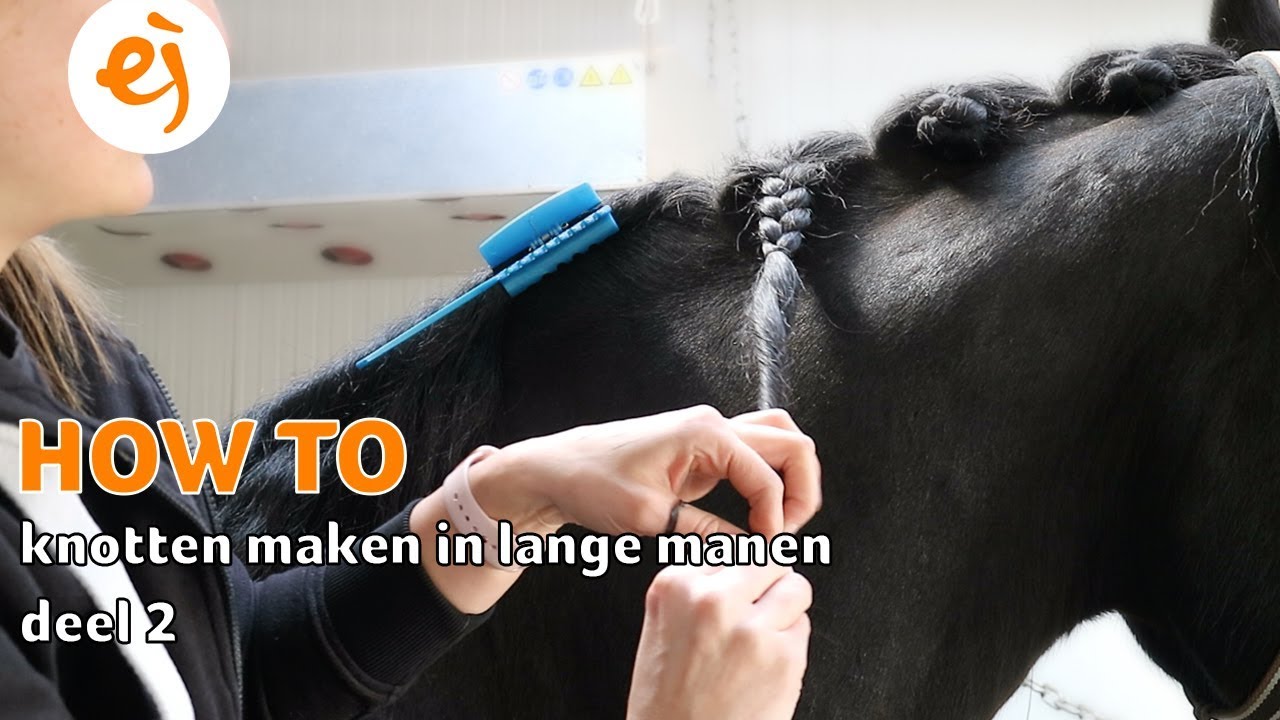 HOW TO: KNOTTEN maken in LANGE MANEN | Deel 2 | #68 | Epplejeck