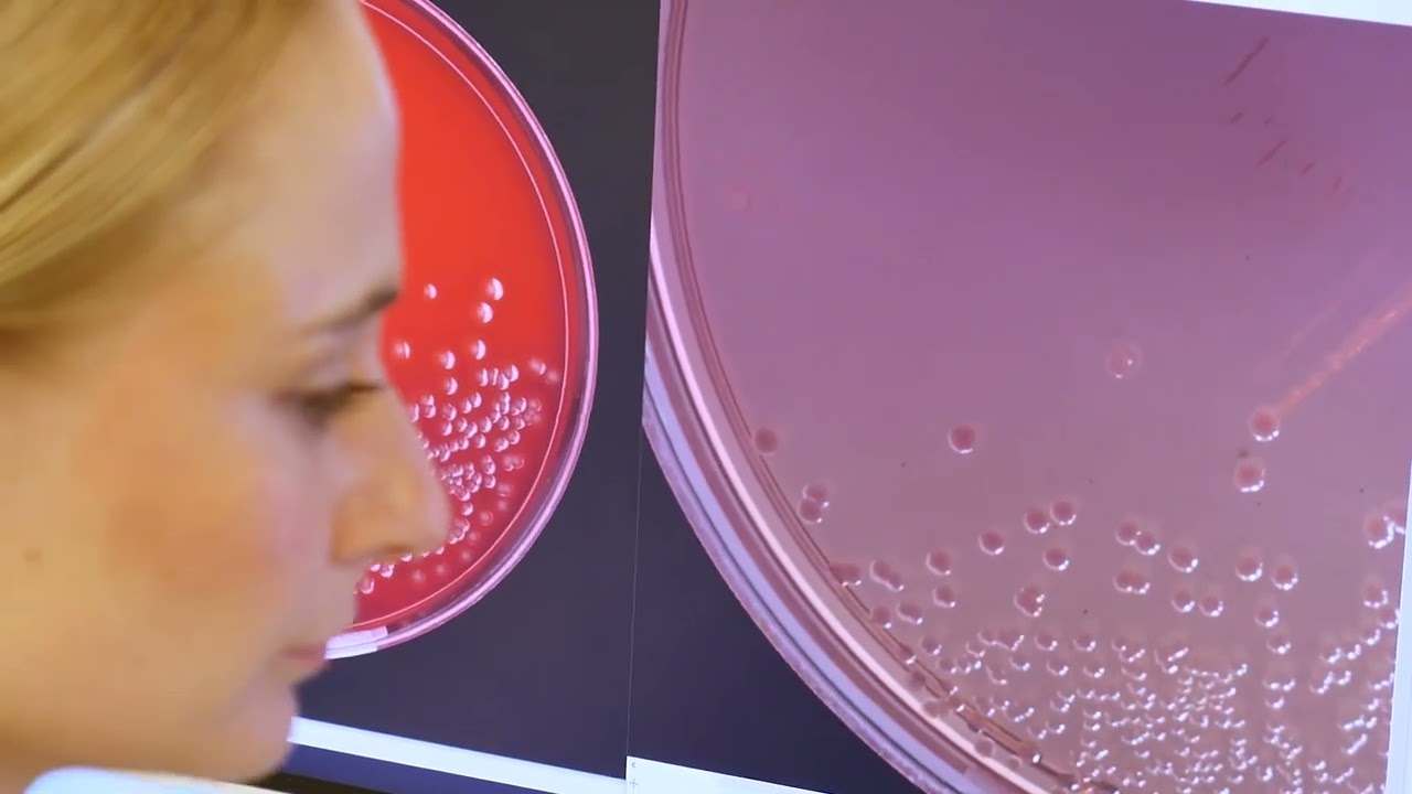 UNC Labs Microbiology