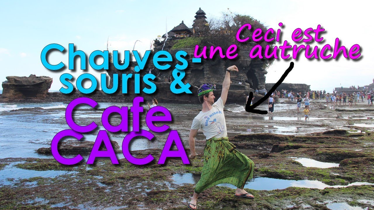[VLOG] Envahis par les bêtes!