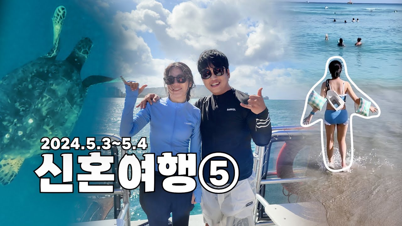 [빵빵이 신혼여행] 하와이에서 거북이봤다! 아사이볼 꼭드세요 제발제발!!ㅣ거북이스노클링, 와이키키불꽃놀이, 쉐라톤와이키키 호캉스,  알라모아나 쇼핑, 하와이 9박11일 여행