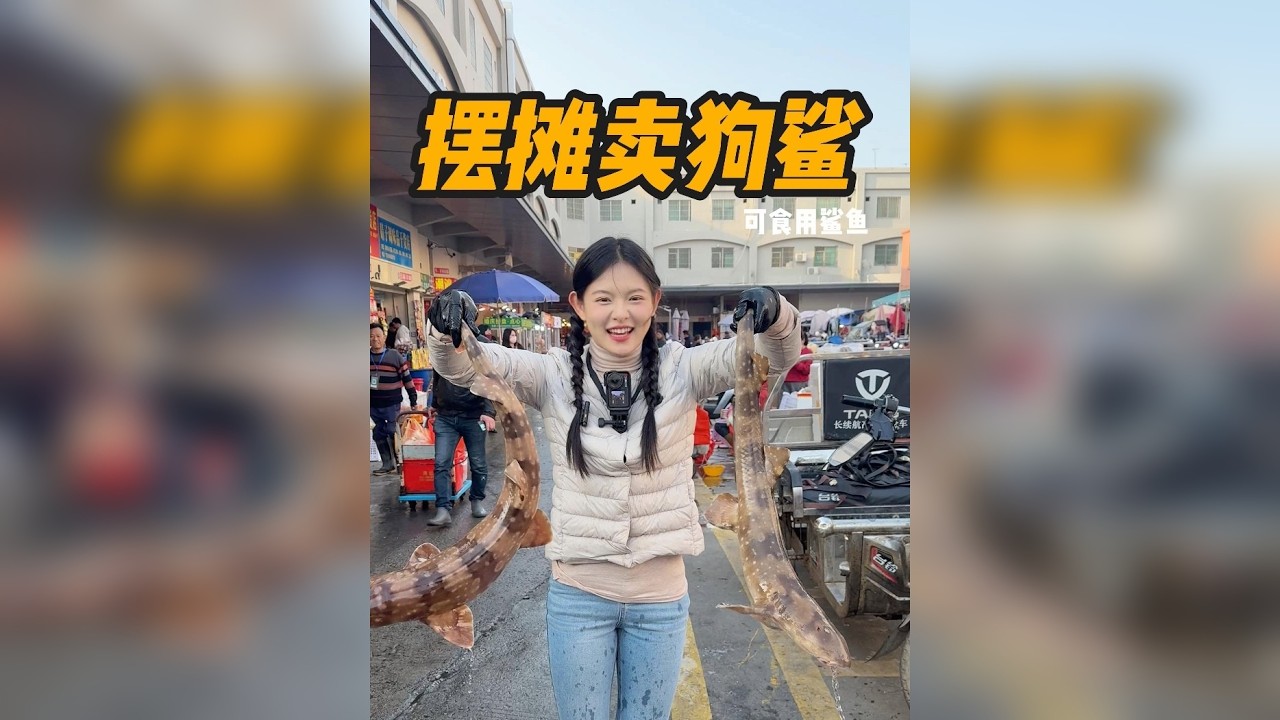 今天卖可食用的鲨鱼—狗鲨看看多久能卖完