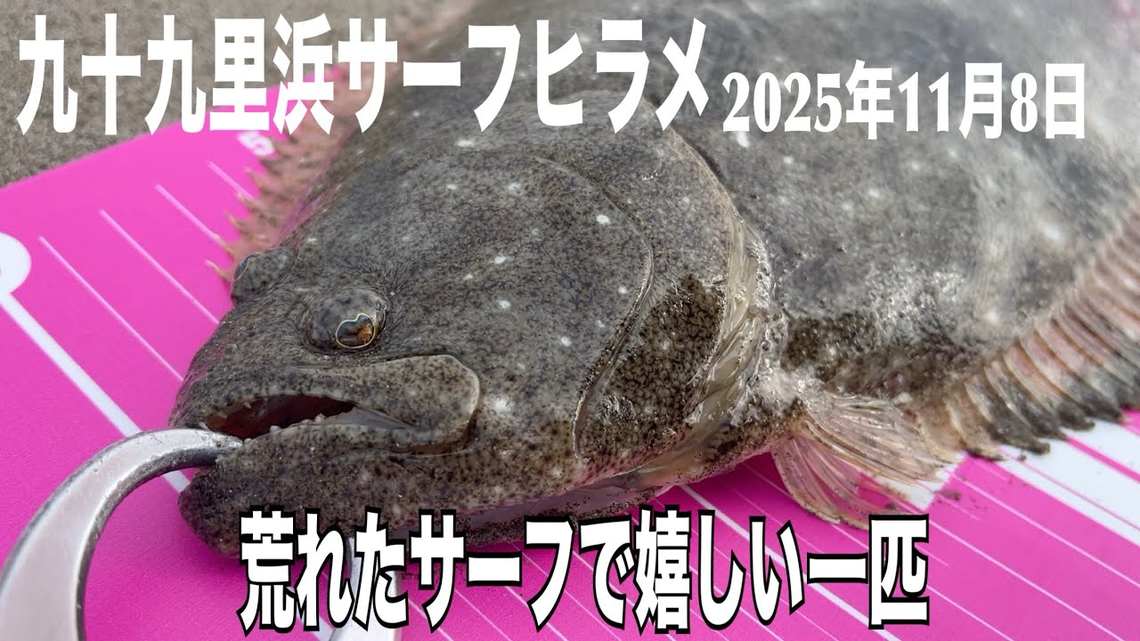 荒れた九十九里浜で嬉しい一匹【サーフヒラメ釣り】2025年11月8日