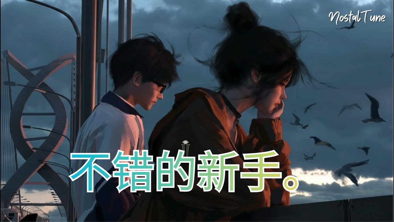 不错的新手。Cover [ NostalTune ]