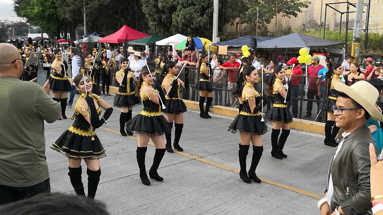 Palillonas del instituto del Bosque international 15 Sep. 2018
