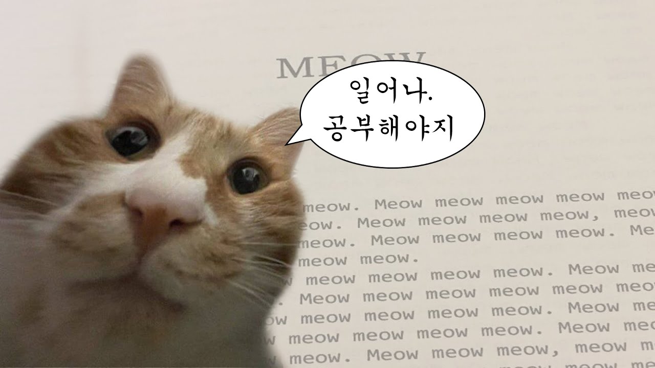 [CCM Playlist] 다 울었니? 이제 공부하자^^