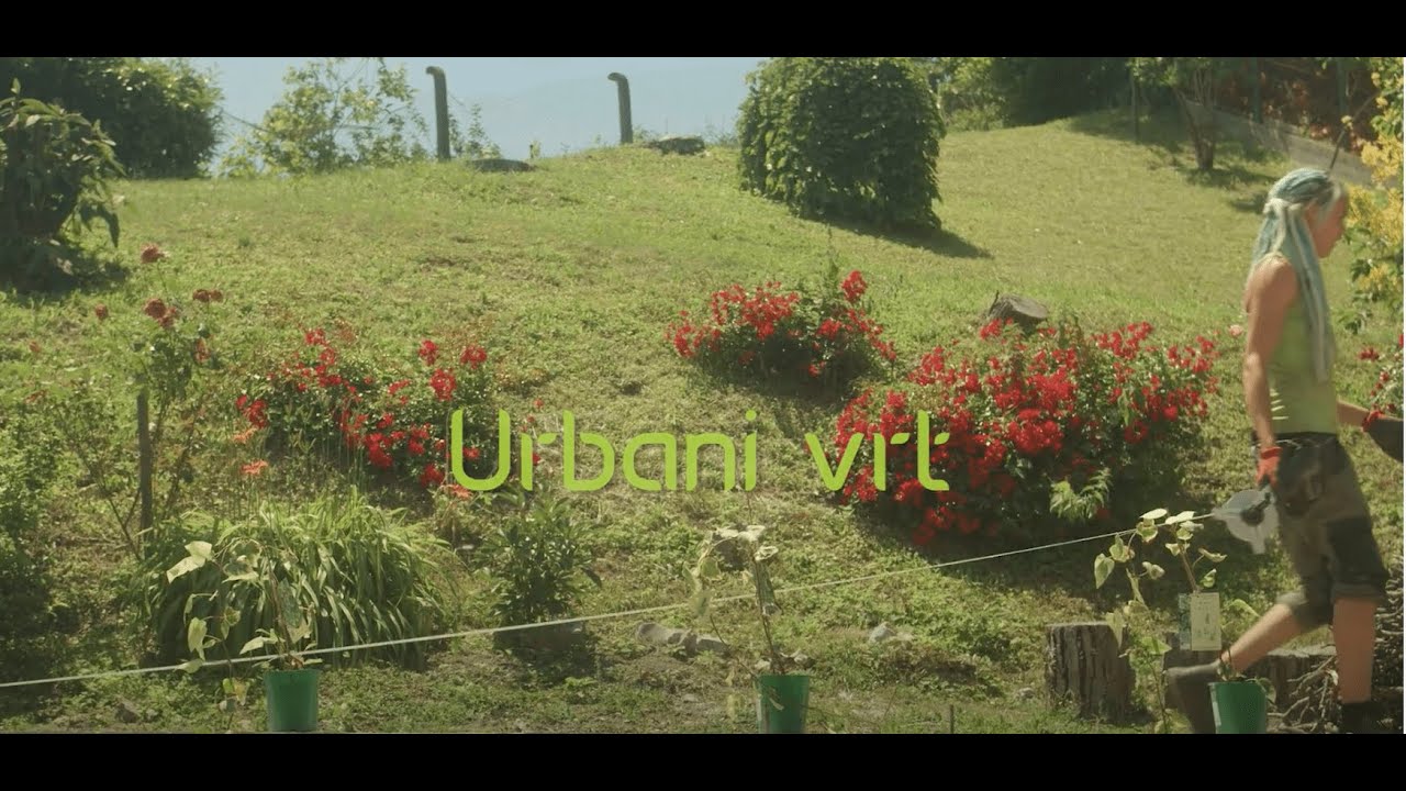 URBANI VRT: od ideje do realizacije 💚🤓