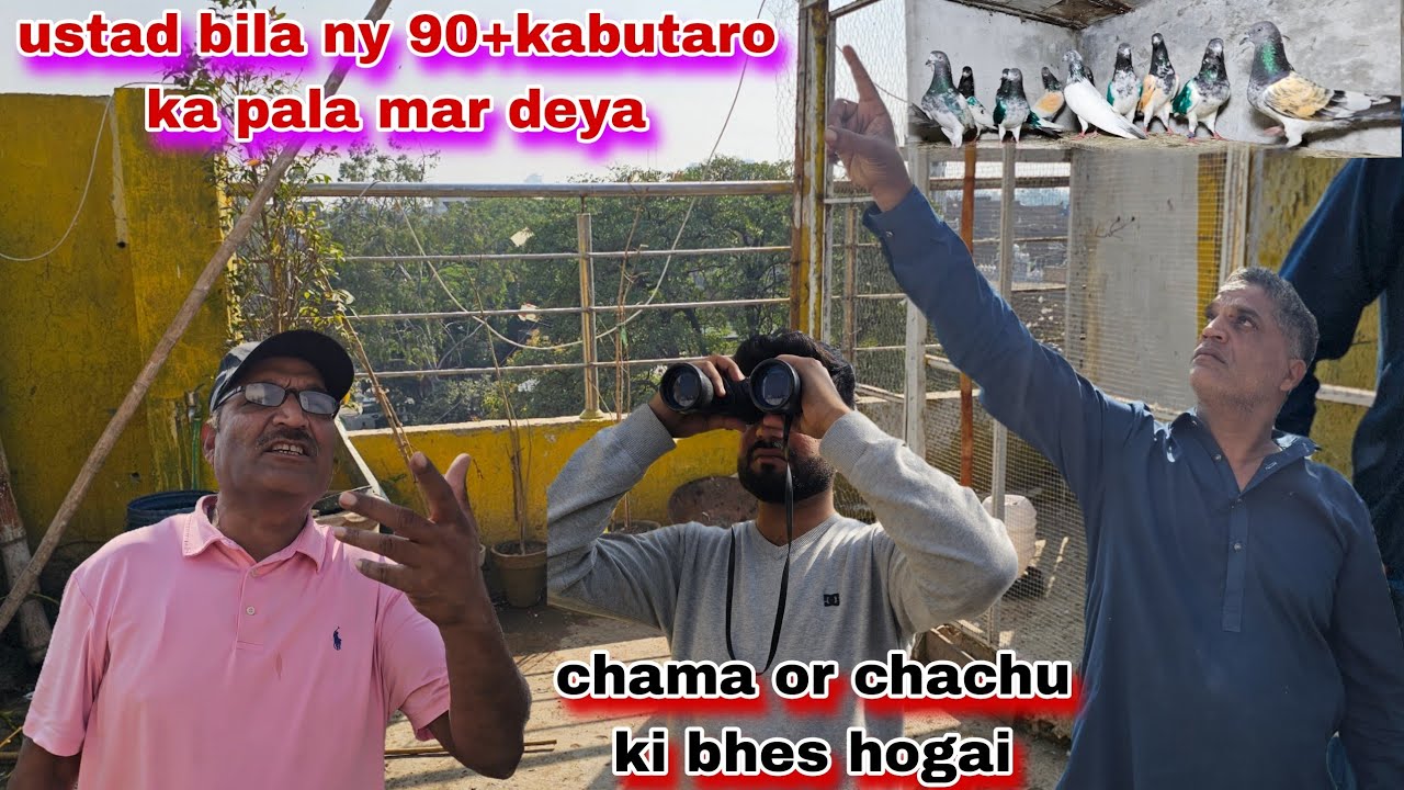 Ustad bila ny 90+kabutaro ka pala mar deya chama lar para ustad bila sy🤬