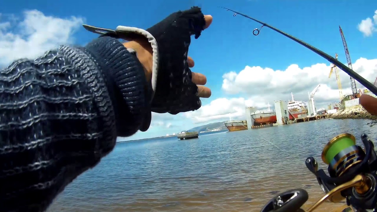 LRF Fishing - Sado Estuary (short session with some catches)