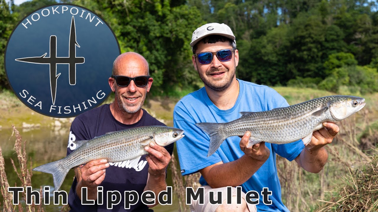 Spinning for Thin Lipped Mullet with Olie Passmore
