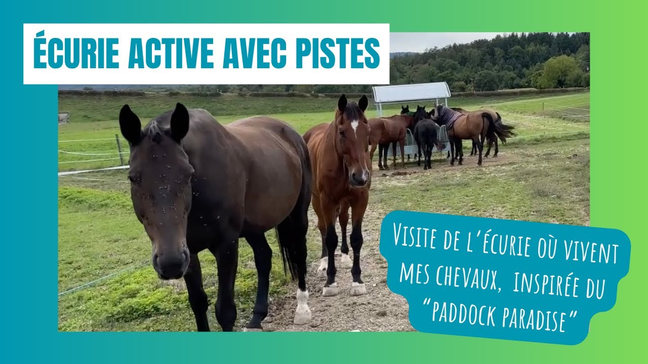 Visite de l'écurie de mes chevaux, inspiré du 