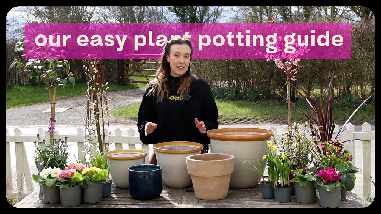 How to Make The Perfect DIY Planters