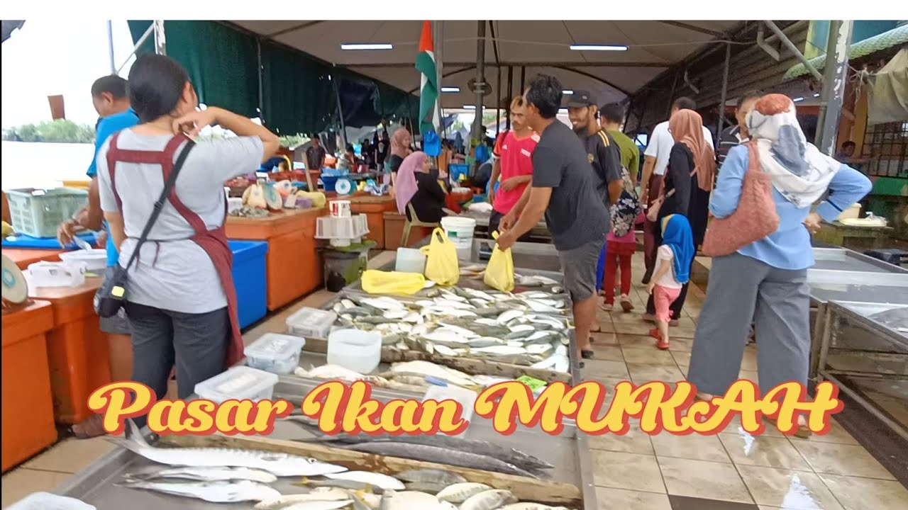 Pasar Ikan Mukah, Sarawak || Ikan Segar Baru Sampai.