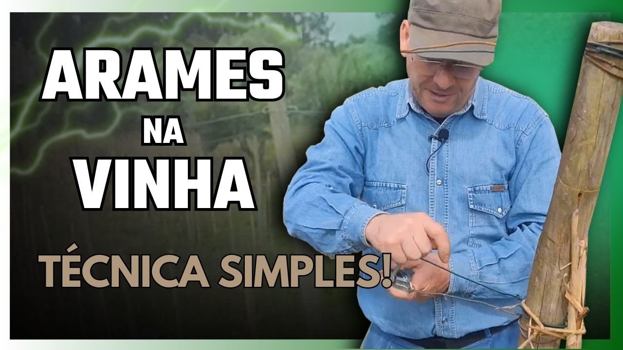 Instalação de Arames em Vinha: Técnicas para uma Gestão Eficiente