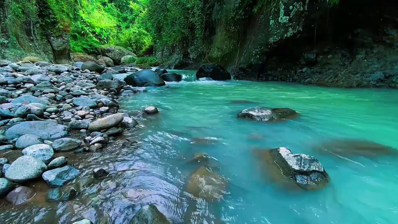 Mountain Stream Calm Night Flow, Forest River Sounds, Sleeping