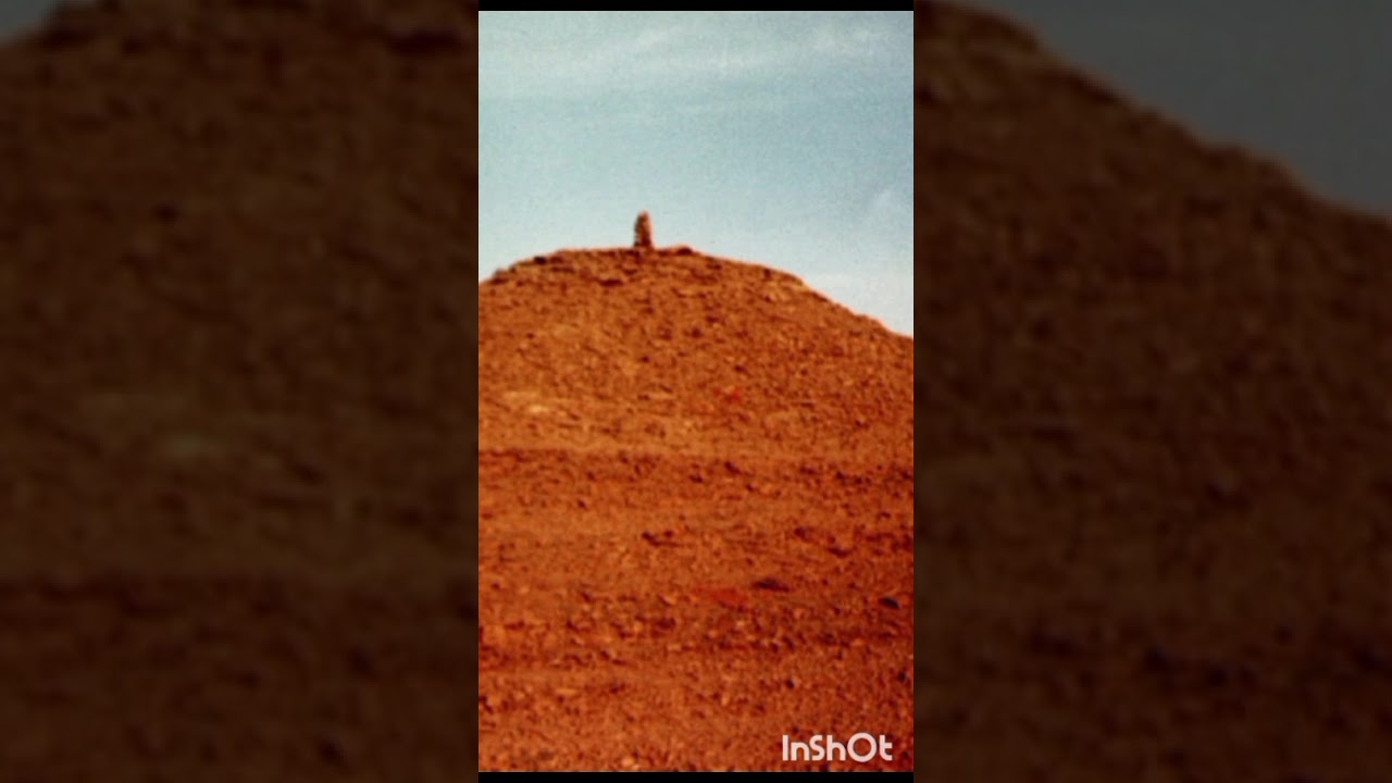 ادعية السنة النبوية