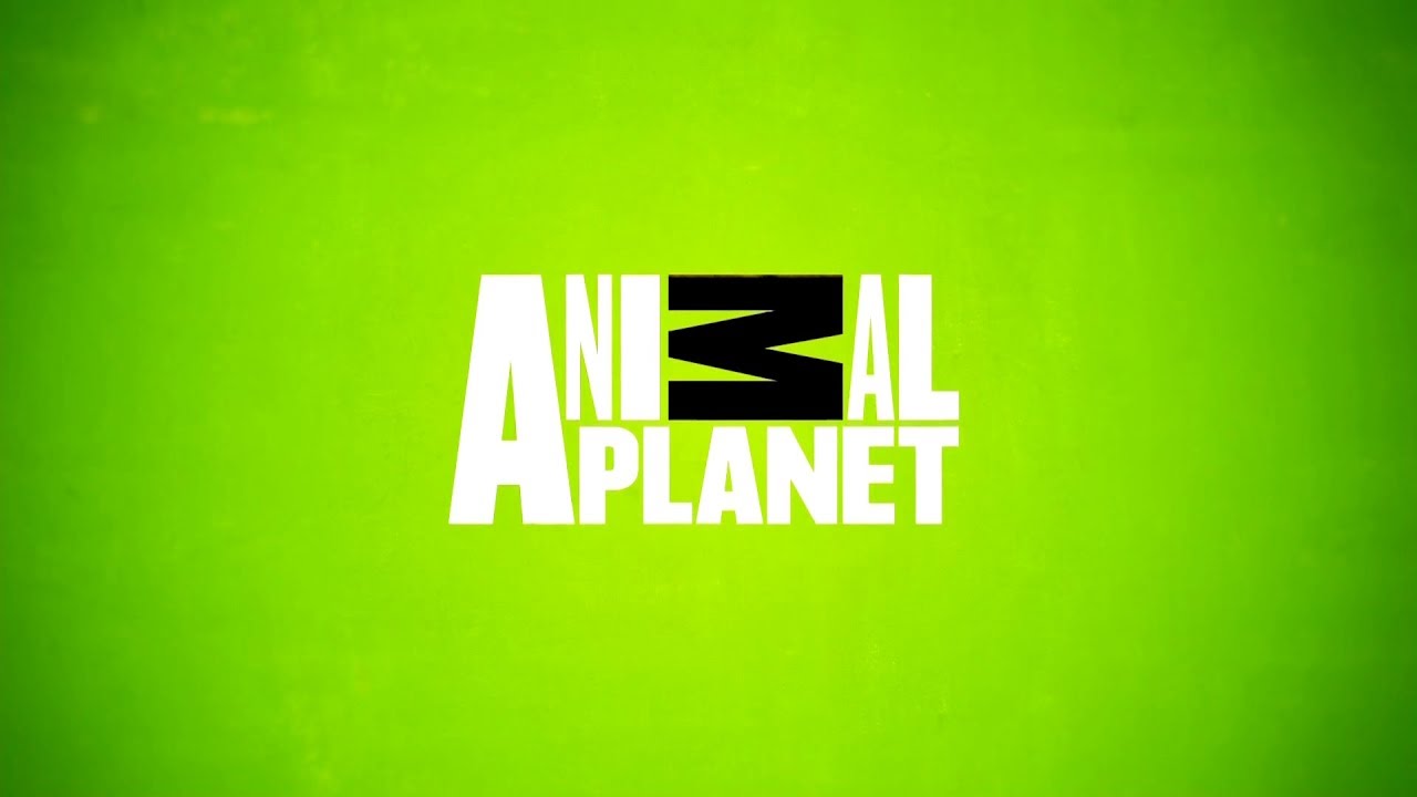 Animal Planet Brasil - Pacote gráfico (2015-2019)