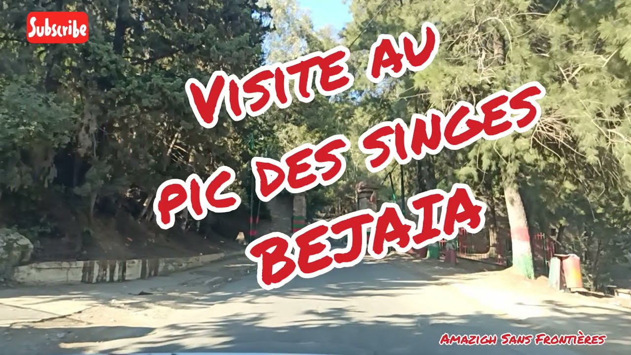 Bejaia Pic des singes 🐒 بجاية قمة القرود