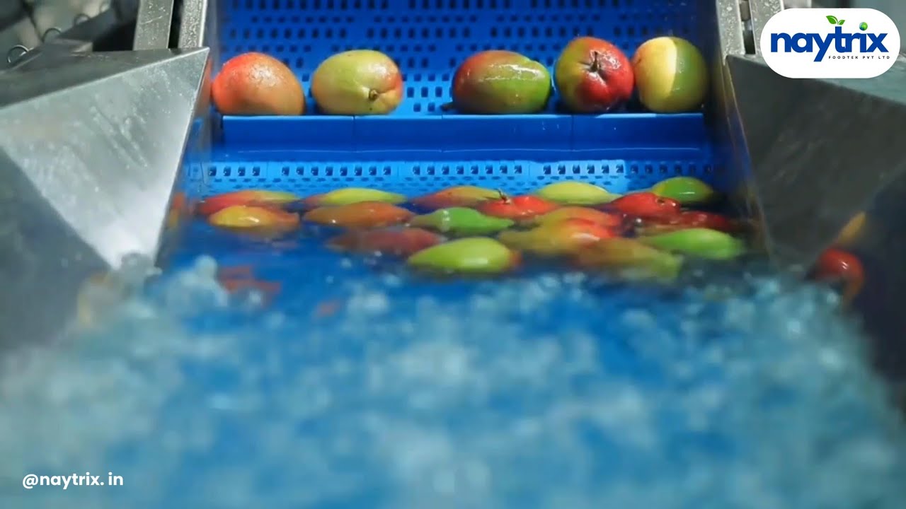 Ozone Vegetables Washer | Vegetables Washer Machine | Vegetables Cleaning Machine