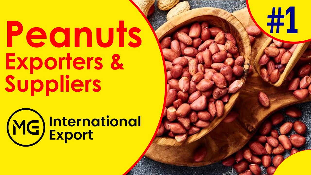 Peanuts Exporters & Suppliers, Peanut Exporter in Gujarat #mginternationalexport